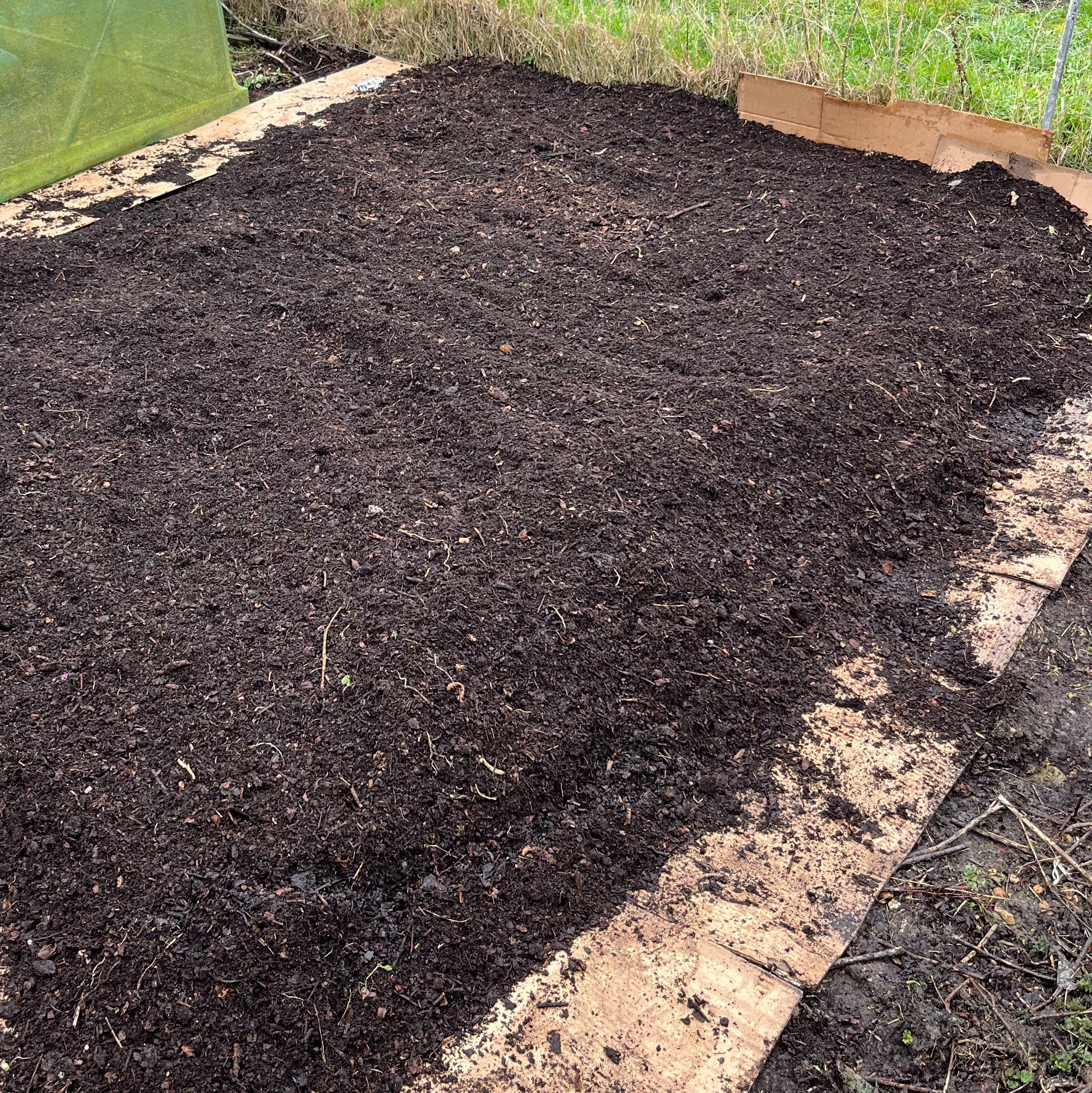 Black mulch on cardboard vegetable bed